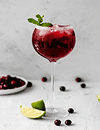 Cranberry Gin Tonic